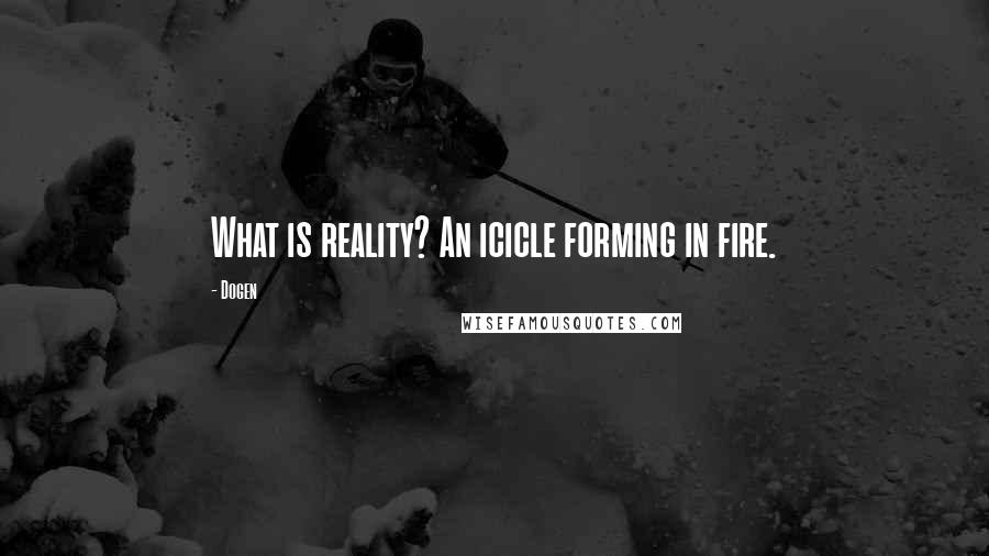 Dogen Quotes: What is reality? An icicle forming in fire.