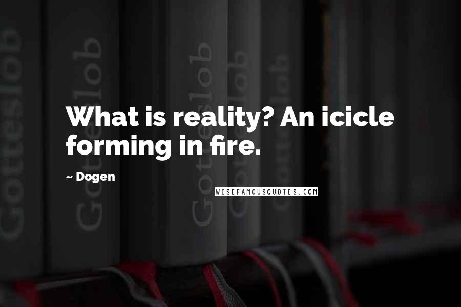 Dogen Quotes: What is reality? An icicle forming in fire.