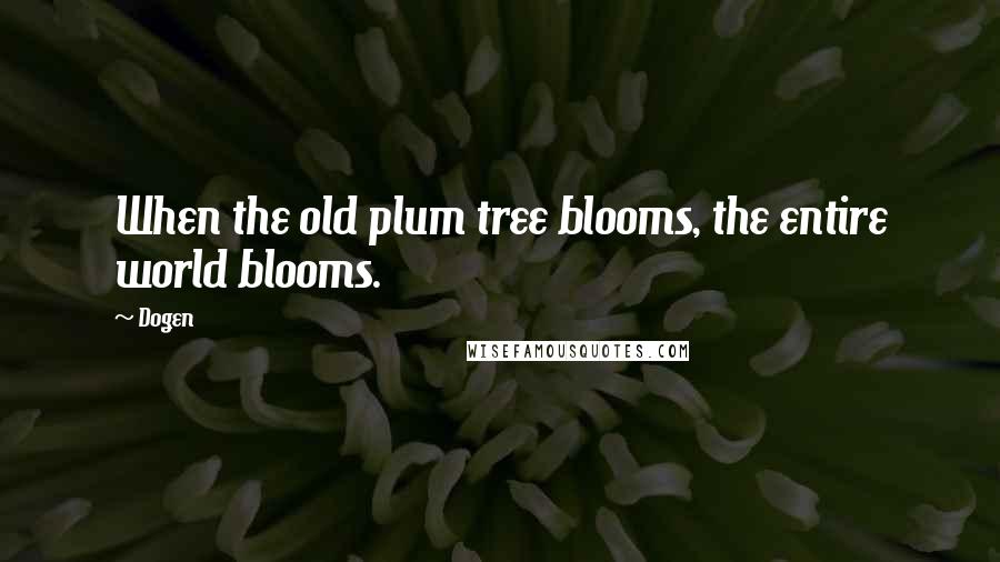 Dogen Quotes: When the old plum tree blooms, the entire world blooms.