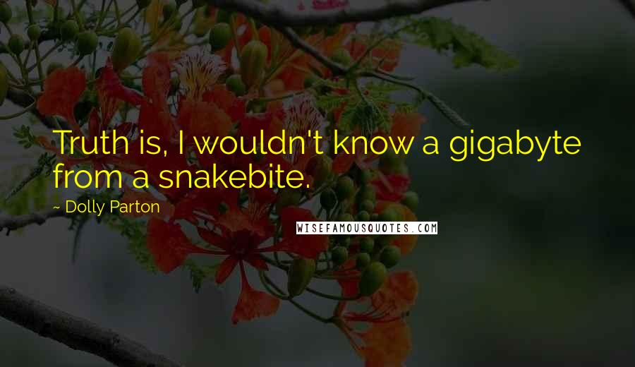 Dolly Parton Quotes: Truth is, I wouldn't know a gigabyte from a snakebite.