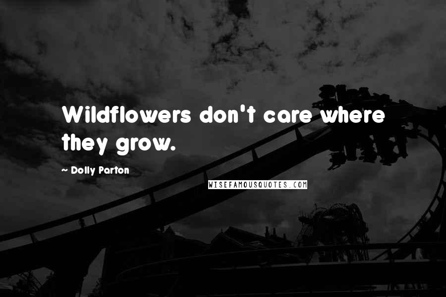 Dolly Parton Quotes: Wildflowers don't care where they grow.