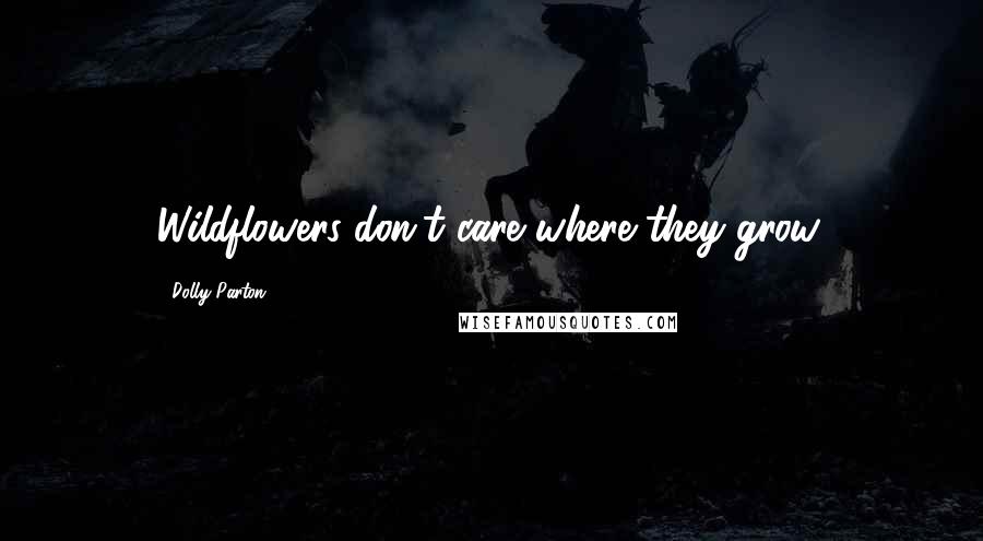 Dolly Parton Quotes: Wildflowers don't care where they grow.