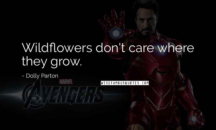 Dolly Parton Quotes: Wildflowers don't care where they grow.
