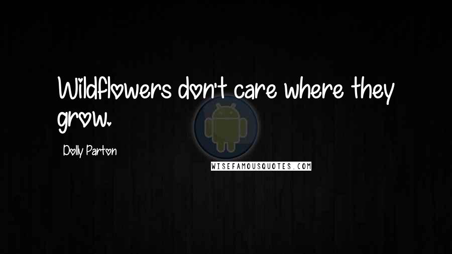 Dolly Parton Quotes: Wildflowers don't care where they grow.