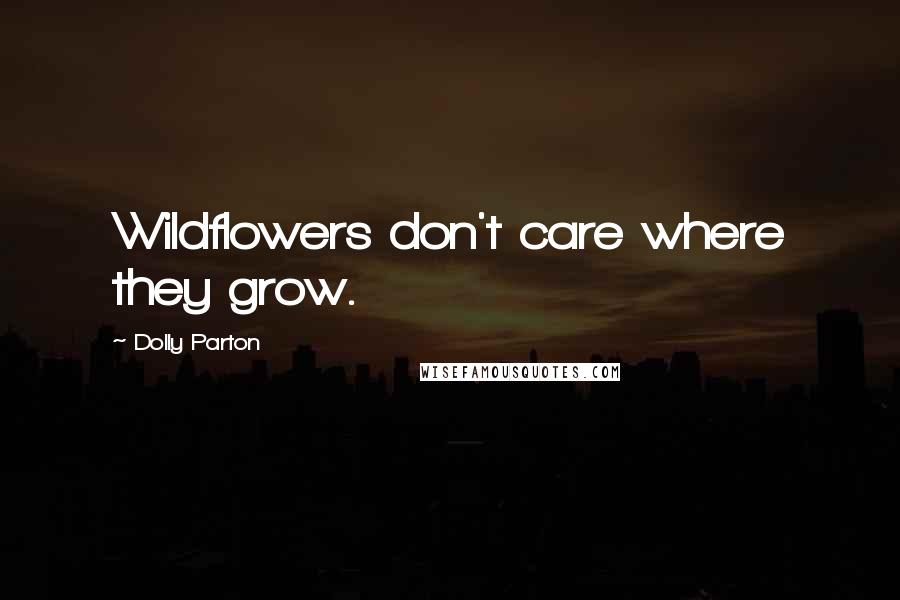 Dolly Parton Quotes: Wildflowers don't care where they grow.