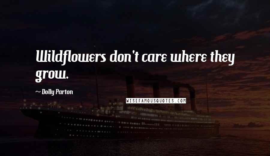 Dolly Parton Quotes: Wildflowers don't care where they grow.