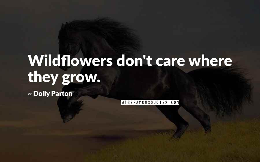 Dolly Parton Quotes: Wildflowers don't care where they grow.