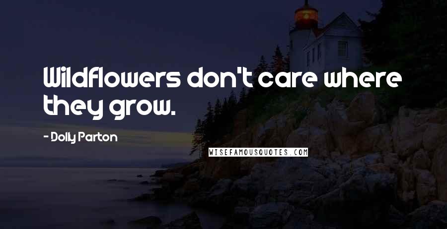 Dolly Parton Quotes: Wildflowers don't care where they grow.