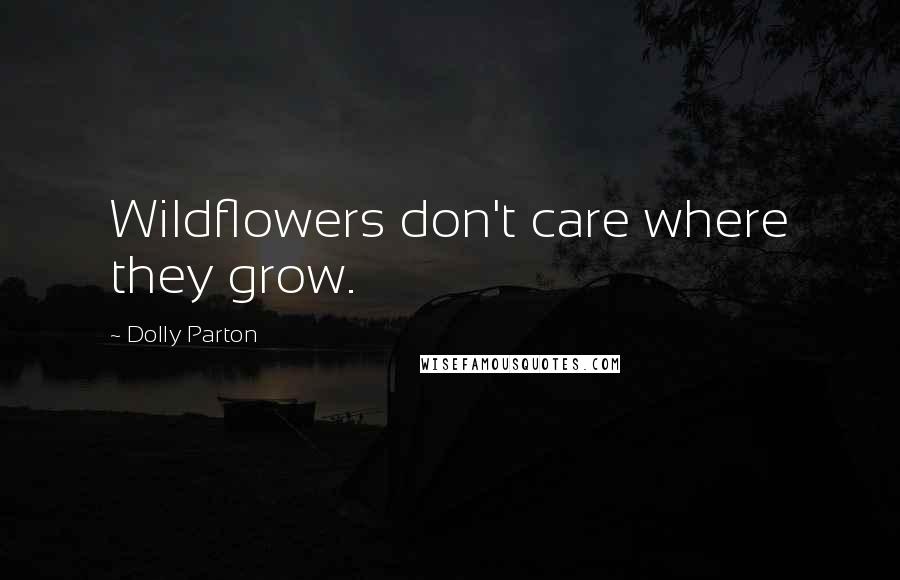 Dolly Parton Quotes: Wildflowers don't care where they grow.
