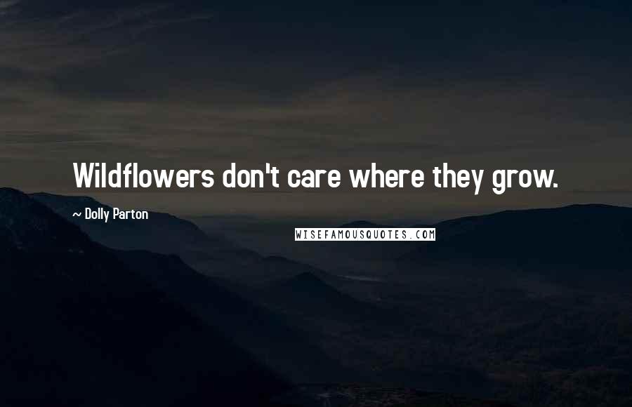 Dolly Parton Quotes: Wildflowers don't care where they grow.