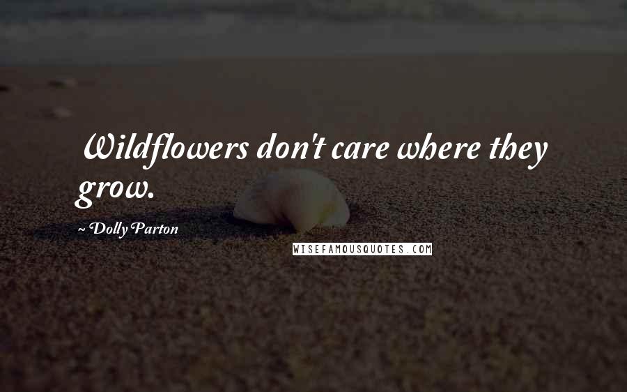 Dolly Parton Quotes: Wildflowers don't care where they grow.