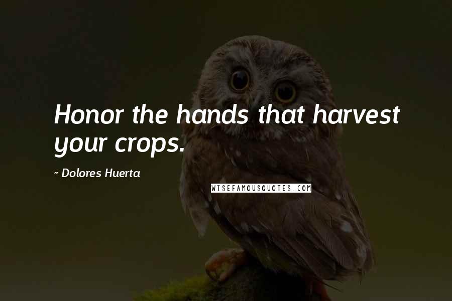 Dolores Huerta Quotes: Honor the hands that harvest your crops.