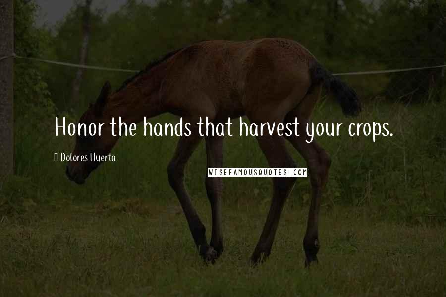 Dolores Huerta Quotes: Honor the hands that harvest your crops.