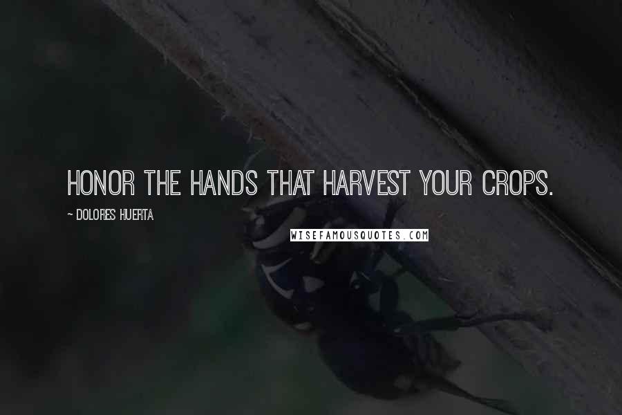 Dolores Huerta Quotes: Honor the hands that harvest your crops.