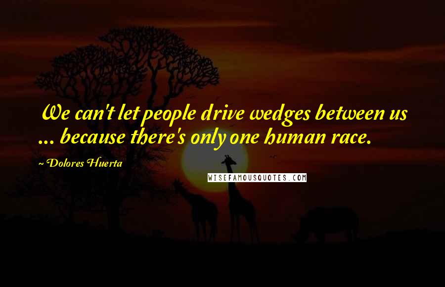 Dolores Huerta Quotes: We can't let people drive wedges between us ... because there's only one human race.