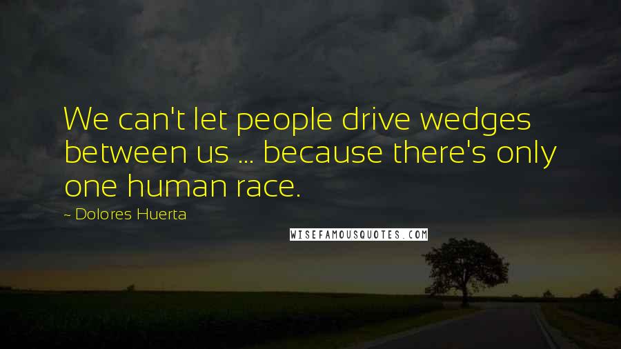 Dolores Huerta Quotes: We can't let people drive wedges between us ... because there's only one human race.