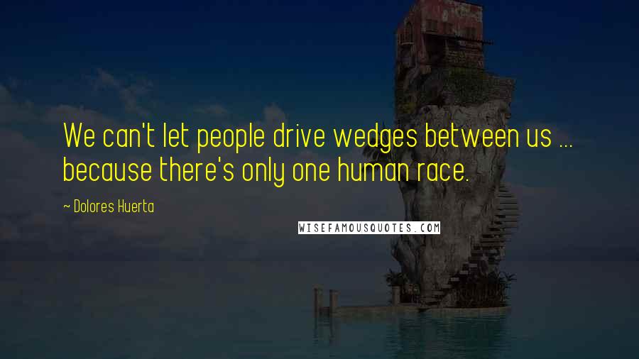 Dolores Huerta Quotes: We can't let people drive wedges between us ... because there's only one human race.