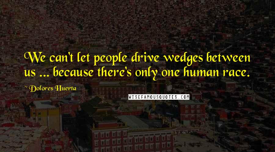Dolores Huerta Quotes: We can't let people drive wedges between us ... because there's only one human race.