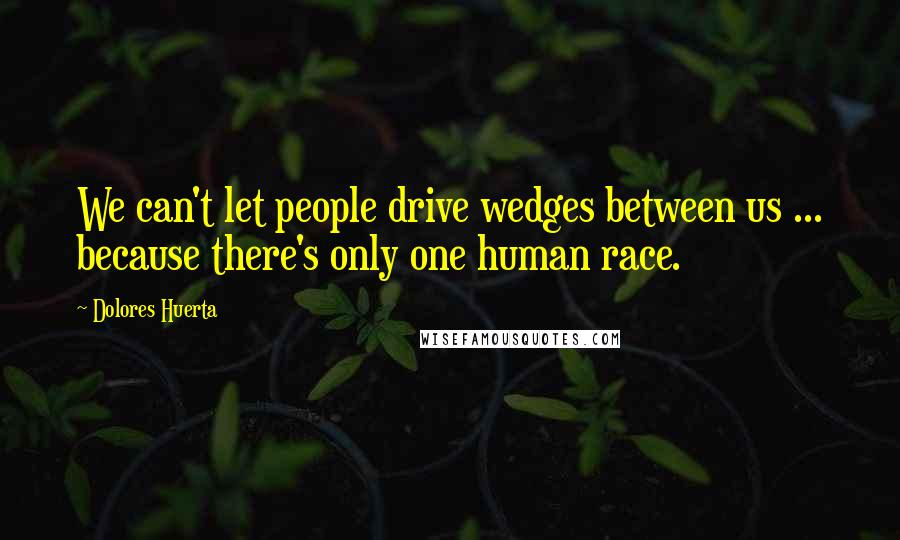 Dolores Huerta Quotes: We can't let people drive wedges between us ... because there's only one human race.