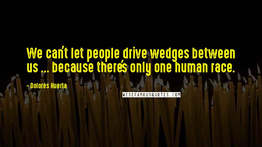 Dolores Huerta Quotes: We can't let people drive wedges between us ... because there's only one human race.