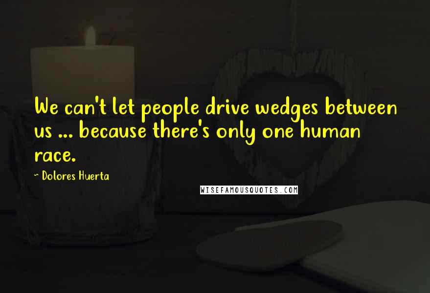 Dolores Huerta Quotes: We can't let people drive wedges between us ... because there's only one human race.