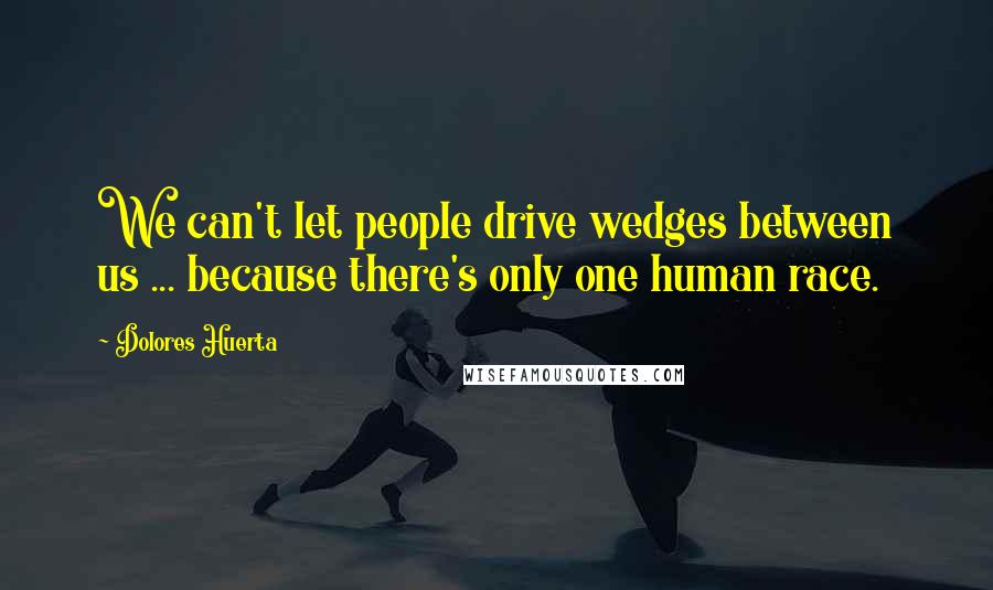 Dolores Huerta Quotes: We can't let people drive wedges between us ... because there's only one human race.