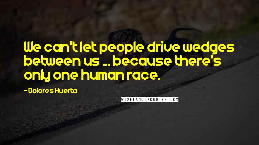 Dolores Huerta Quotes: We can't let people drive wedges between us ... because there's only one human race.