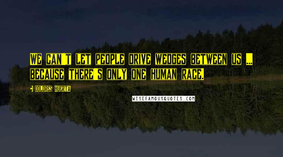 Dolores Huerta Quotes: We can't let people drive wedges between us ... because there's only one human race.