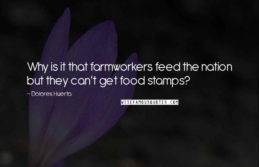 Dolores Huerta Quotes: Why is it that farmworkers feed the nation but they can't get food stamps?