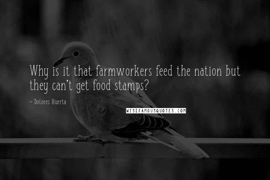 Dolores Huerta Quotes: Why is it that farmworkers feed the nation but they can't get food stamps?