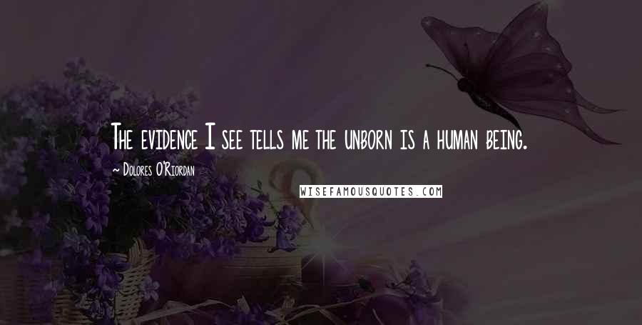 Dolores O'Riordan Quotes: The evidence I see tells me the unborn is a human being.