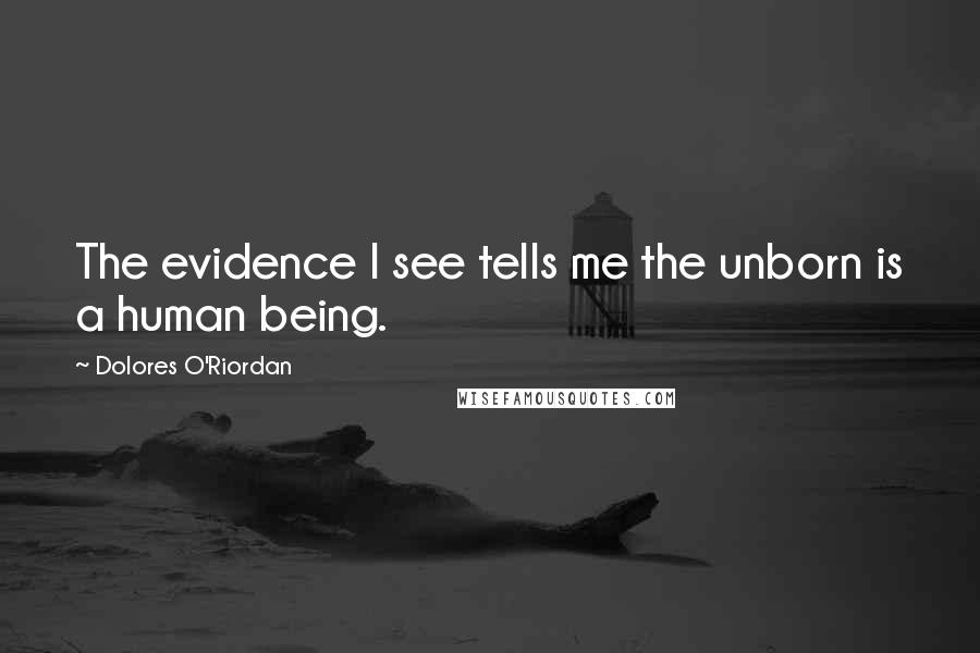 Dolores O'Riordan Quotes: The evidence I see tells me the unborn is a human being.