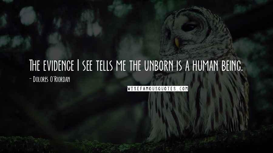 Dolores O'Riordan Quotes: The evidence I see tells me the unborn is a human being.