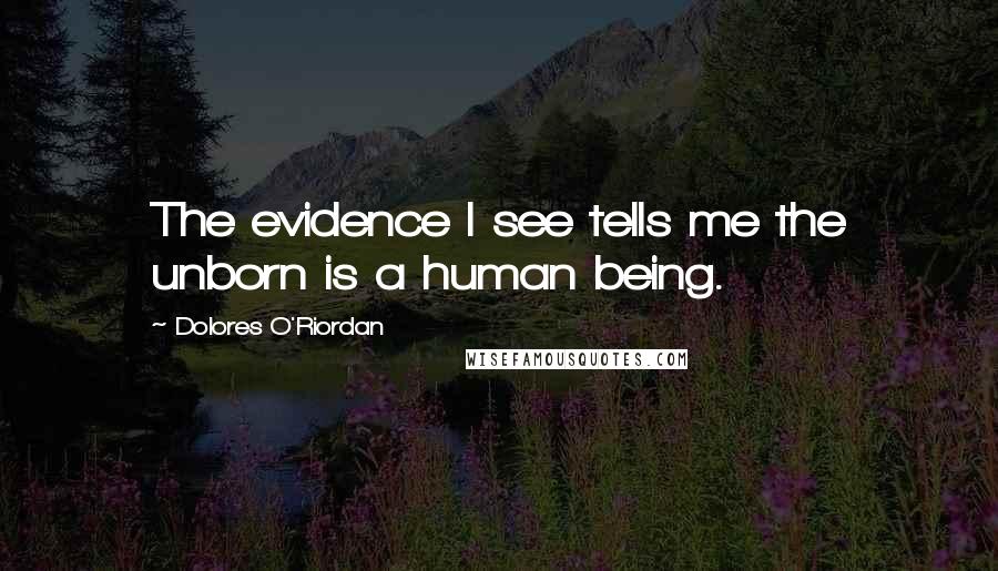 Dolores O'Riordan Quotes: The evidence I see tells me the unborn is a human being.