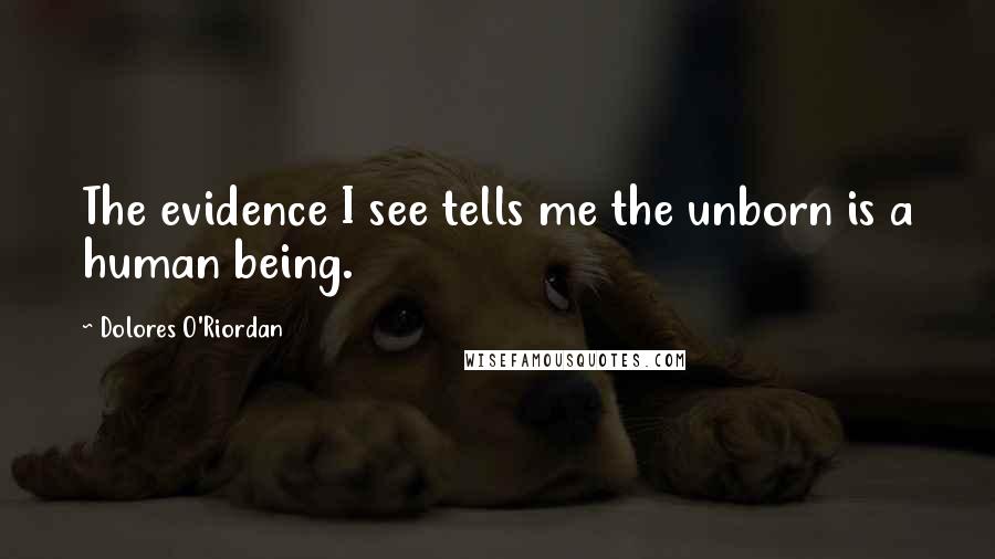 Dolores O'Riordan Quotes: The evidence I see tells me the unborn is a human being.