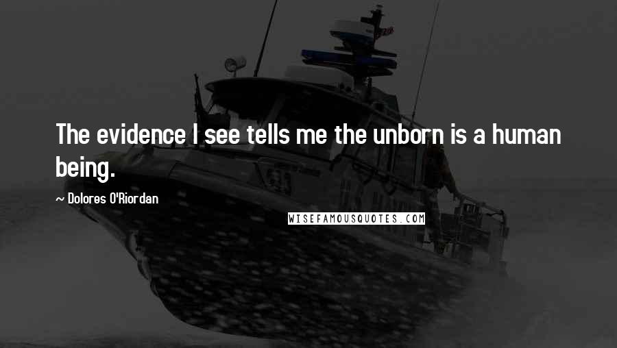 Dolores O'Riordan Quotes: The evidence I see tells me the unborn is a human being.