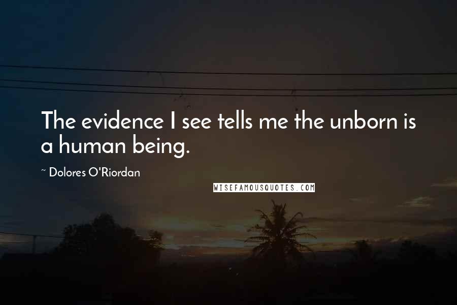 Dolores O'Riordan Quotes: The evidence I see tells me the unborn is a human being.