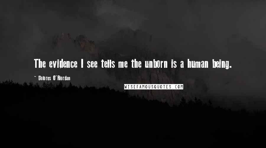 Dolores O'Riordan Quotes: The evidence I see tells me the unborn is a human being.