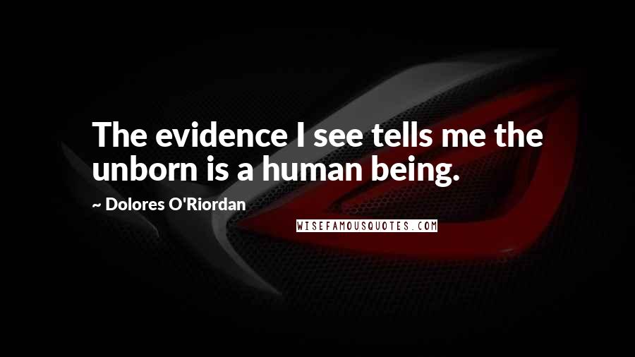 Dolores O'Riordan Quotes: The evidence I see tells me the unborn is a human being.