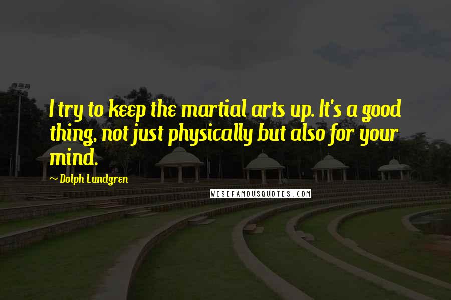 Dolph Lundgren Quotes: I try to keep the martial arts up. It's a good thing, not just physically but also for your mind.