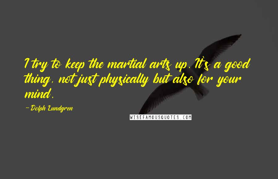 Dolph Lundgren Quotes: I try to keep the martial arts up. It's a good thing, not just physically but also for your mind.