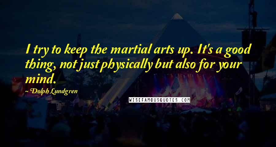 Dolph Lundgren Quotes: I try to keep the martial arts up. It's a good thing, not just physically but also for your mind.