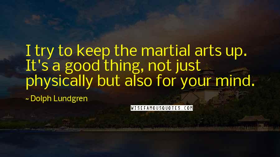 Dolph Lundgren Quotes: I try to keep the martial arts up. It's a good thing, not just physically but also for your mind.