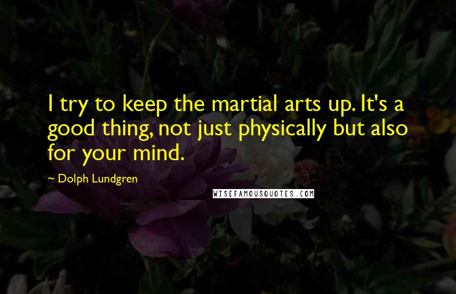 Dolph Lundgren Quotes: I try to keep the martial arts up. It's a good thing, not just physically but also for your mind.