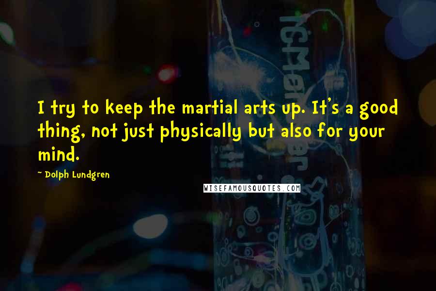 Dolph Lundgren Quotes: I try to keep the martial arts up. It's a good thing, not just physically but also for your mind.