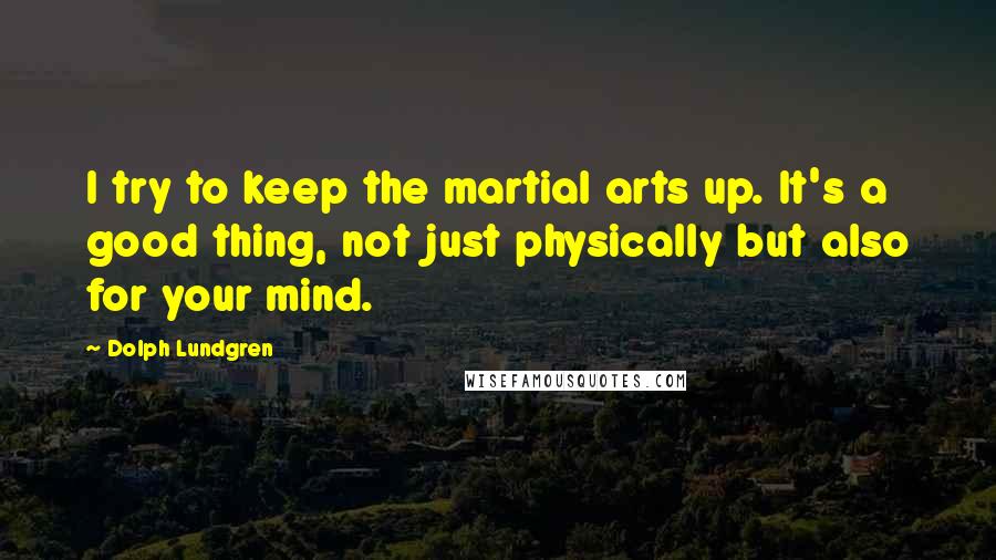 Dolph Lundgren Quotes: I try to keep the martial arts up. It's a good thing, not just physically but also for your mind.