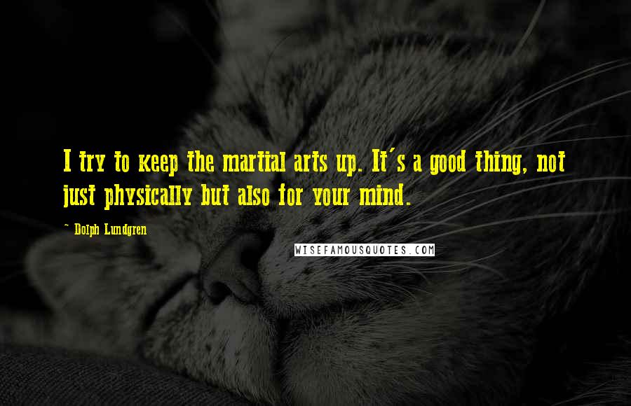 Dolph Lundgren Quotes: I try to keep the martial arts up. It's a good thing, not just physically but also for your mind.