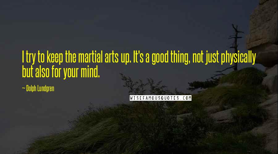 Dolph Lundgren Quotes: I try to keep the martial arts up. It's a good thing, not just physically but also for your mind.