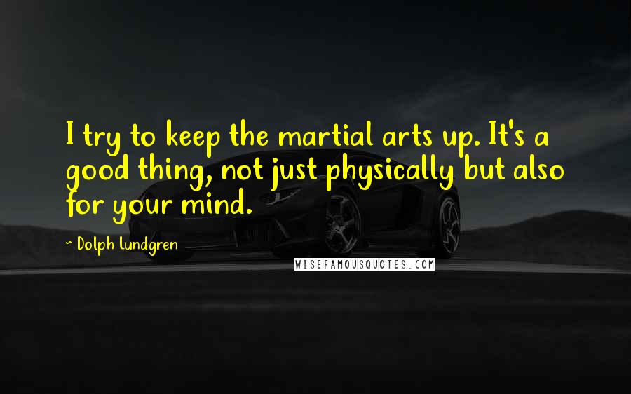 Dolph Lundgren Quotes: I try to keep the martial arts up. It's a good thing, not just physically but also for your mind.