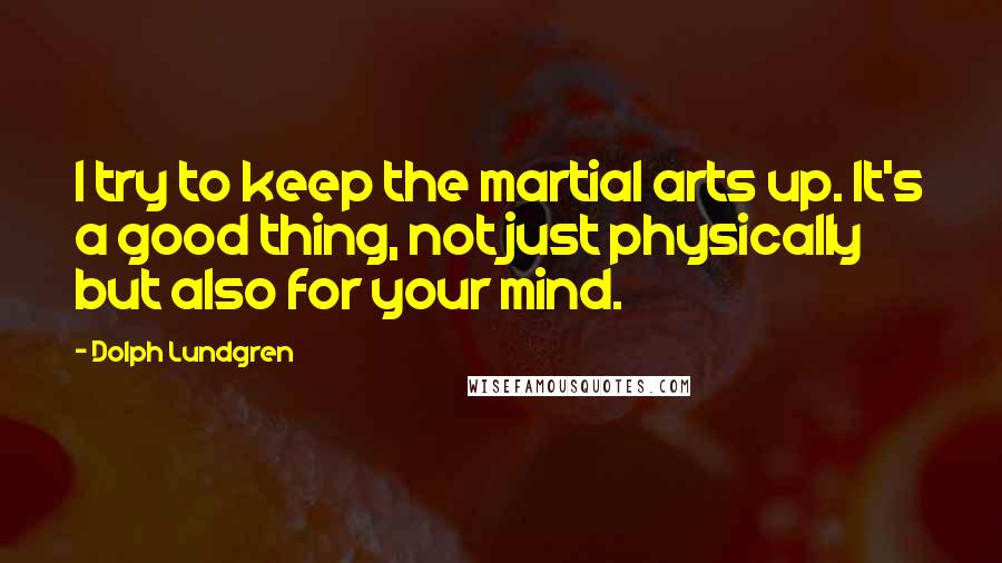 Dolph Lundgren Quotes: I try to keep the martial arts up. It's a good thing, not just physically but also for your mind.